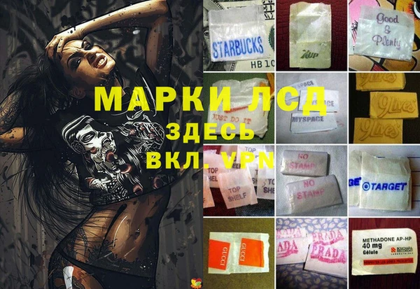 ГАЛЛЮЦИНОГЕННЫЕ ГРИБЫ Арсеньев